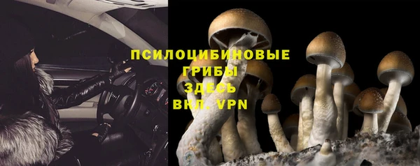 гидра Коряжма