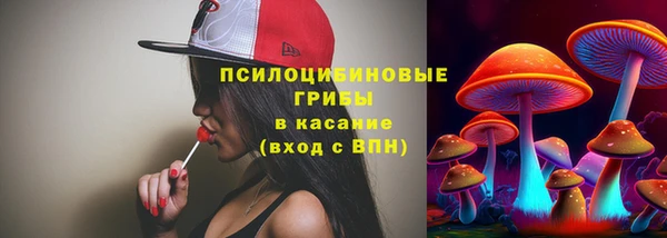 спиды Козельск