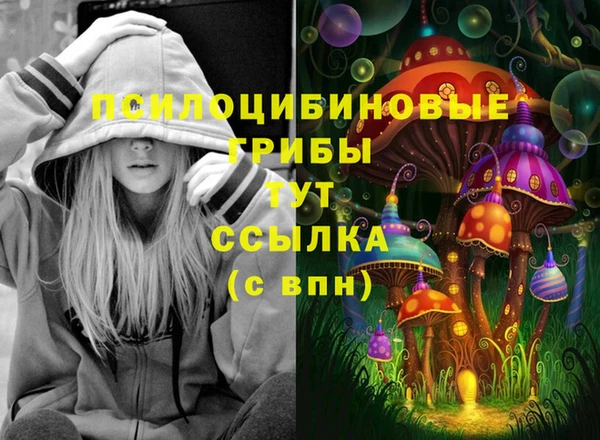 гидра Коряжма