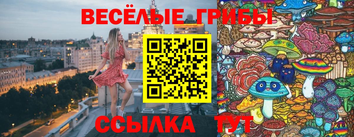 Псилоцибиновые грибы Cubensis  Галлюциногенные грибы Cubensis  Дзержинск  Вход с VPN 