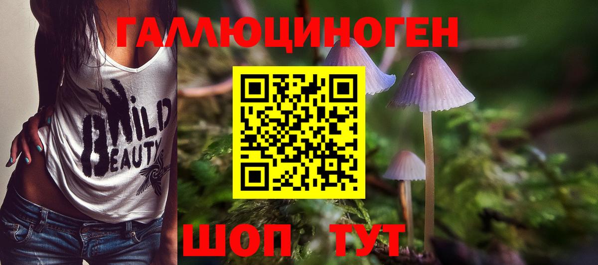 Галлюциногенные грибы Psilocybe  Псилоцибиновые грибы MAGIC MUSHROOMS  Дзержинск 